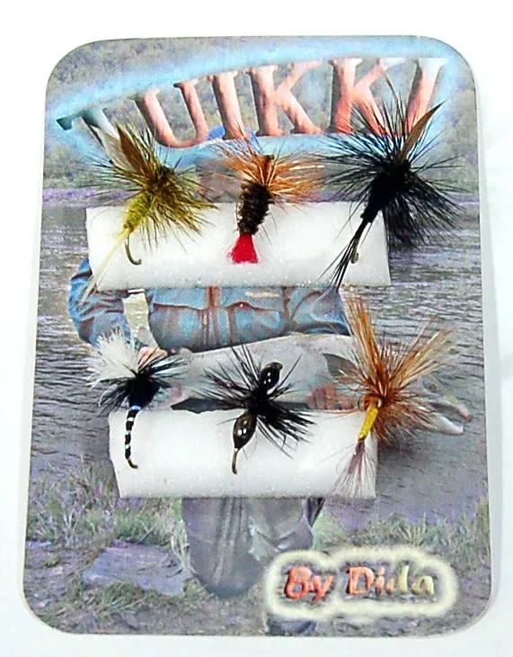 Pikkukuva 1