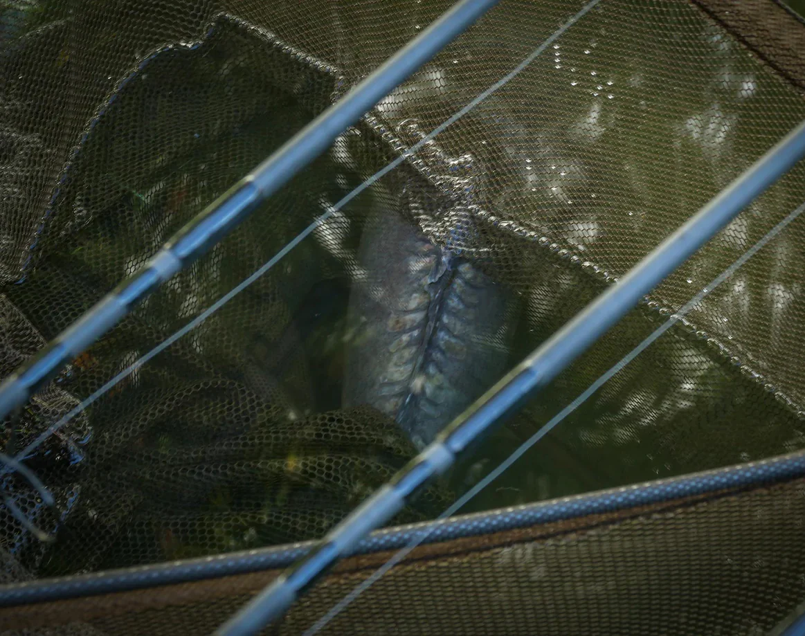 Tuotekuva 3